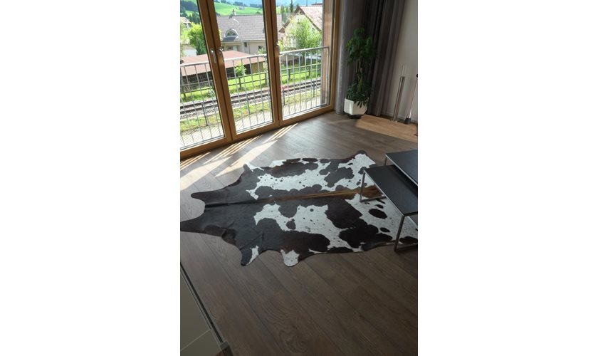 Ferienwohnung Designbelag und Teppich